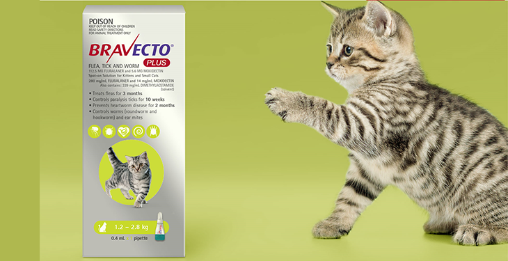 BRAVECTO® PLUS. Veterinarians in St. Cloud West End Animal Care Clinic
